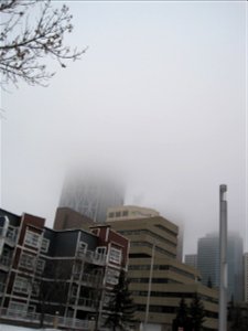 Foggy Downtown