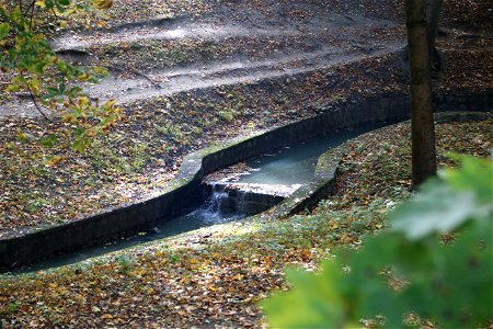 Brook in a city park photo