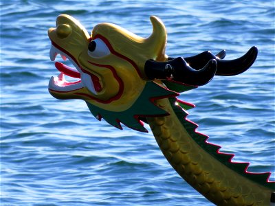 2017 Calgary Dragon Boat Races photo