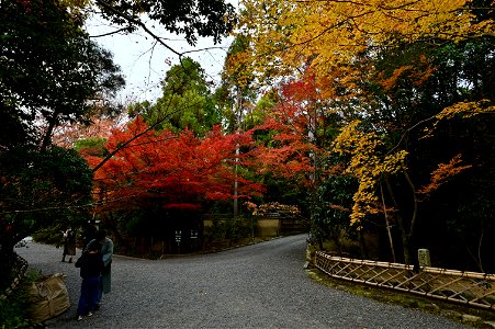 京都龍安寺/Kyoto Ryoanji