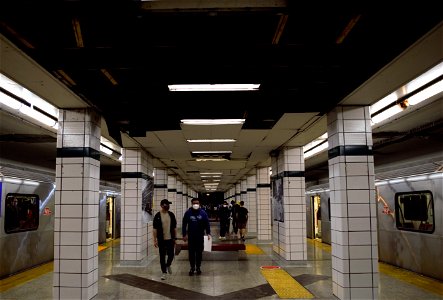 TTC Bay Lower.