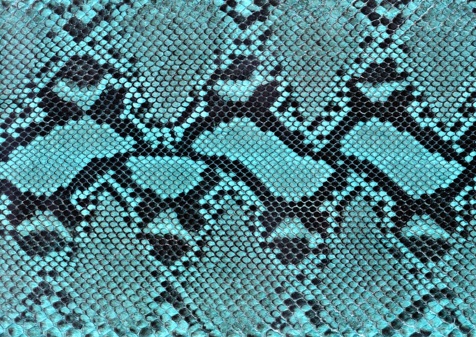 background of sneak skin texture