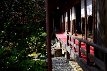 京都龍安寺/Kyoto Ryoanji