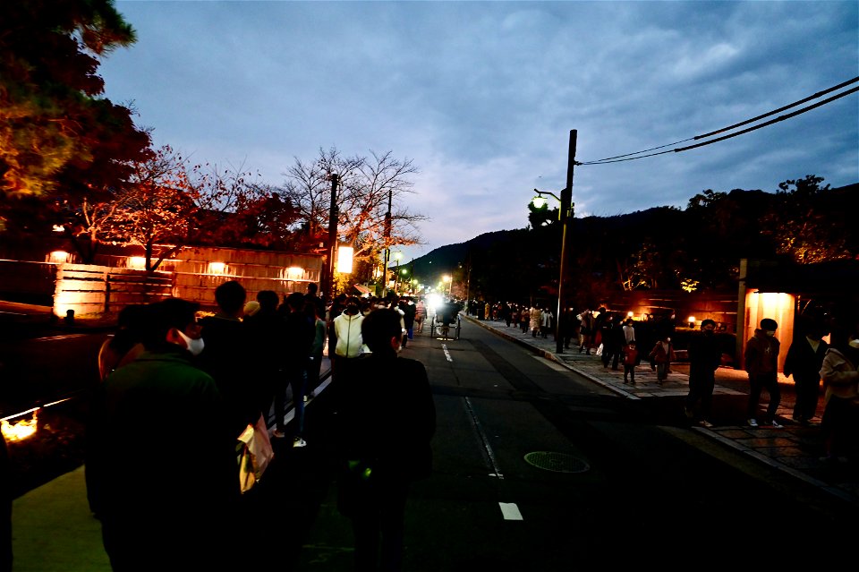 嵐山と竹林の小径 / Kyoto Arashiyama and Bamboo forest path