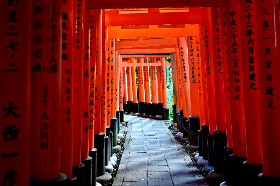 伏見稲荷/Fushimi Inari Shrine