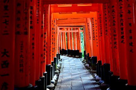 伏見稲荷/Fushimi Inari Shrine