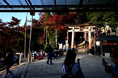 伏見稲荷/Fushimi Inari Shrine