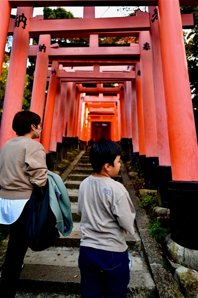 伏見稲荷/Fushimi Inari Shrine