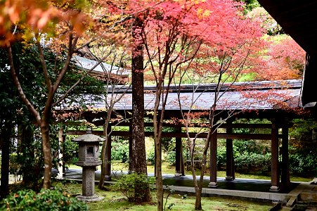 京都龍安寺/Kyoto Ryoanji