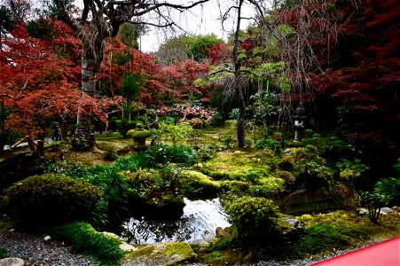 京都龍安寺/Kyoto Ryoanji