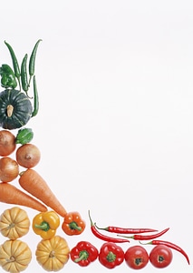 fresh vegetables and lettuce