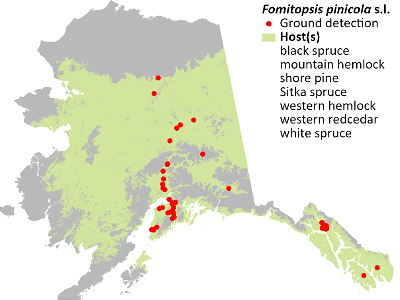 Fomitopsis-pinicola-sensu-lato-Brown-crumbly-rot-detection-map-2022-Alaska