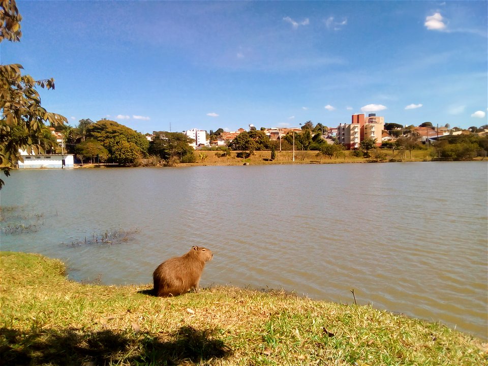 Represa, Vinhedo, São Paulo