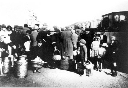 Large group of people near a train, [n.d.] photo