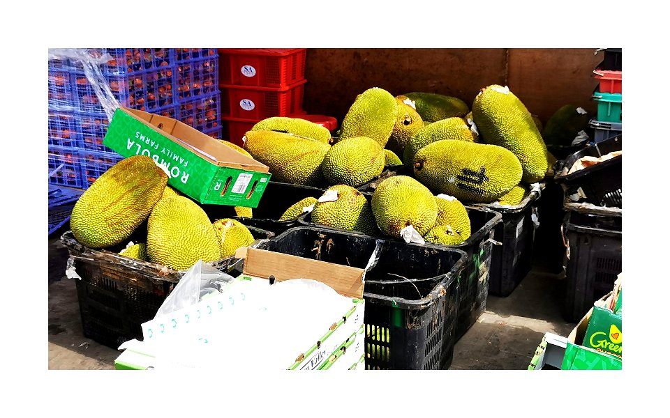 Fresh jackfruits in the market