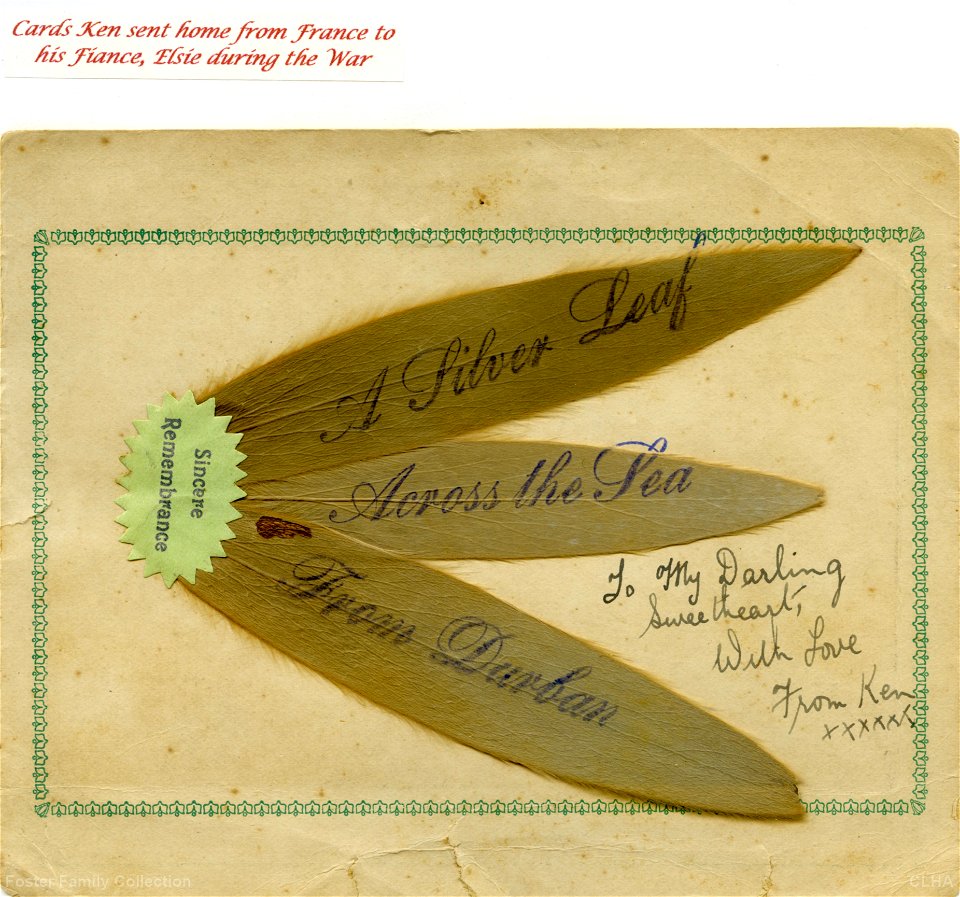 "A Silver Leaf Across the Sea From Durban" - card sent  by Ken Foster to his fiancee, Elsie,  during World War 1.