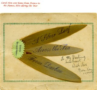 "A Silver Leaf Across the Sea From Durban" - card sent by Ken Foster to his fiancee, Elsie, during World War 1. photo