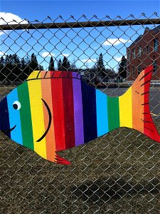 Fish on a fence
