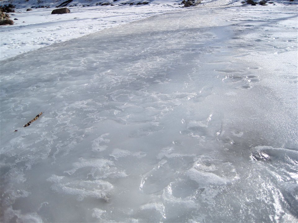 Mr. Freeze Was Here