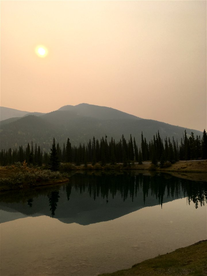 Smokey day at Forget-Me-Not Pond