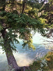 Banff National Park