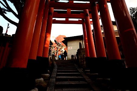 伏見稲荷/Fushimi Inari Shrine