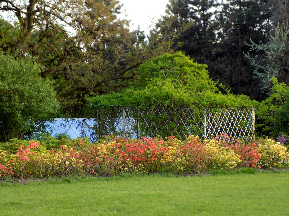 Hryshko National Botanical Garden