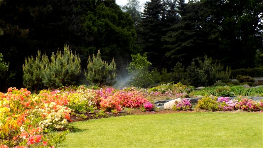 Hryshko National Botanical Garden