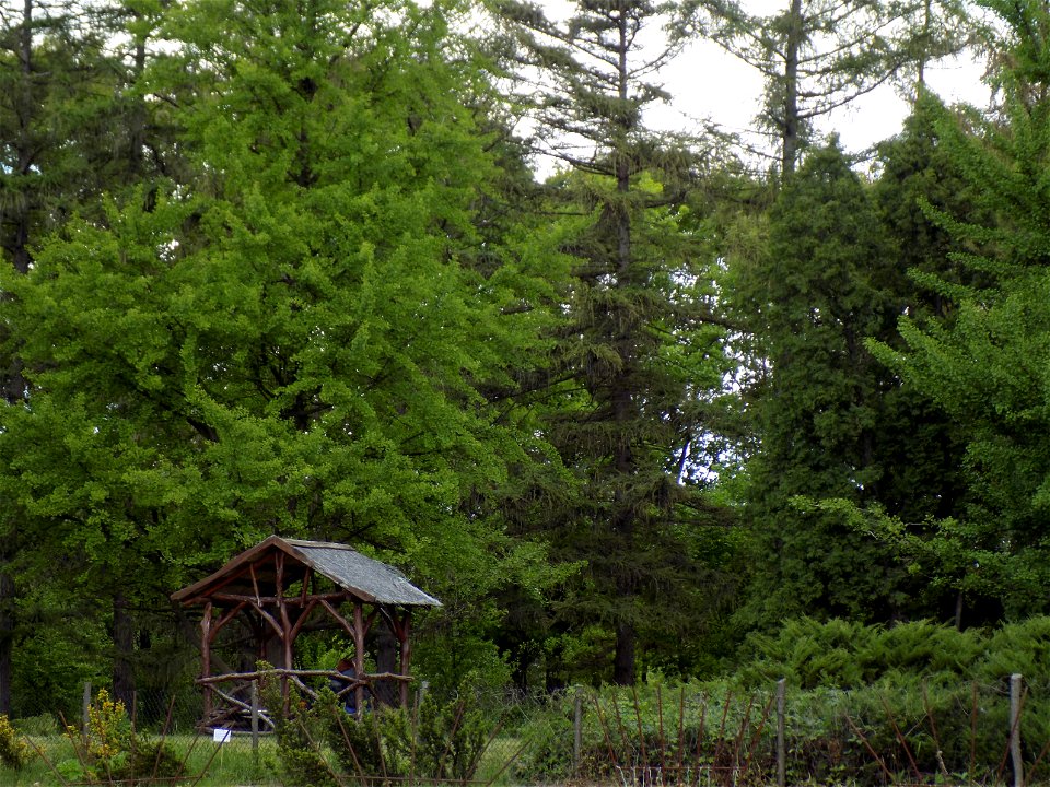 Hryshko National Botanical Garden