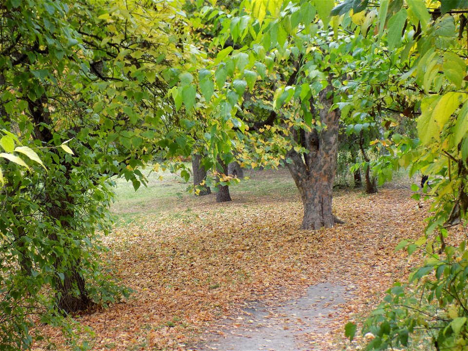 Hryshko National Botanical Garden