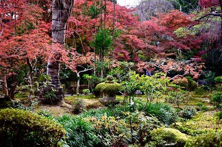 京都龍安寺/Kyoto Ryoanji