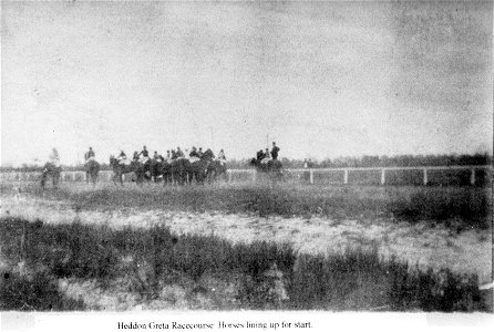 Heddon Greta Racecourse: Horses lining up for start, [n.d.]