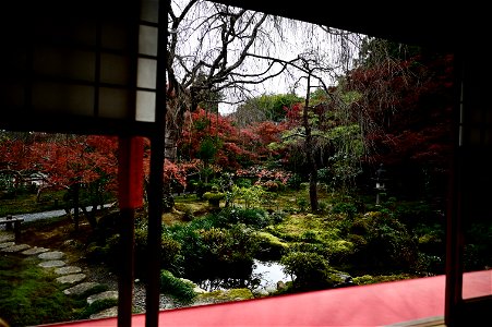 京都龍安寺/Kyoto Ryoanji