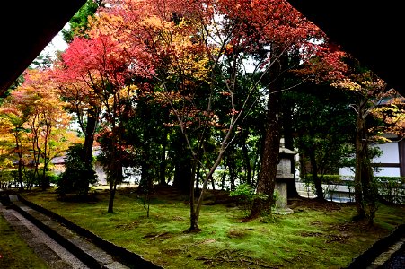 京都龍安寺/Kyoto Ryoanji
