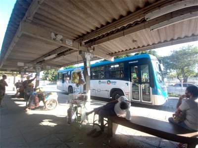 colina dos Eucaliptos