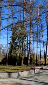 Hryshko National Botanical Garden