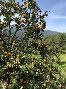 Doolare trail Dool Regil in Jirisan national park S.Korea