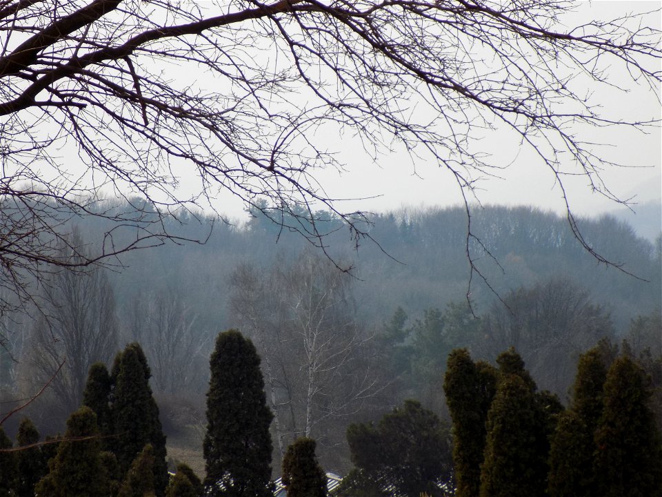 Hryshko National Botanical Garden