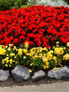 Prince's Island Flower Garden