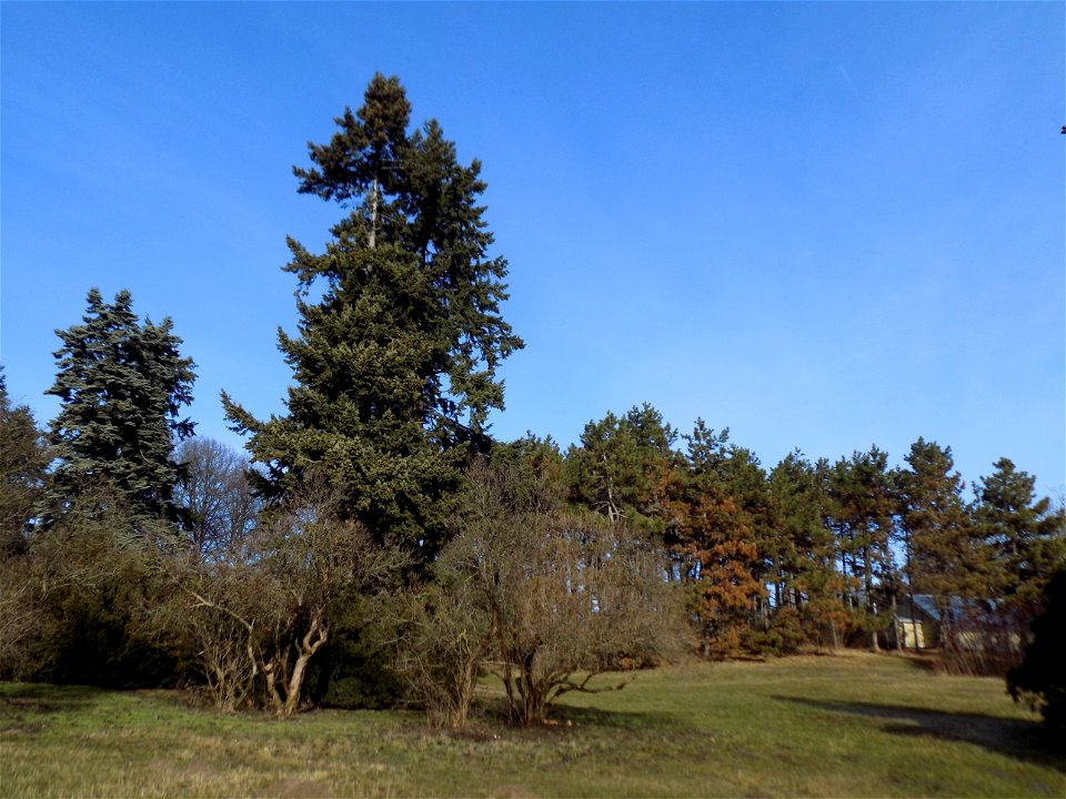 Hryshko National Botanical Garden