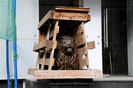 Lion in a box photo