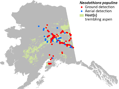 Aspen-running-canker-map-2022-Alaska