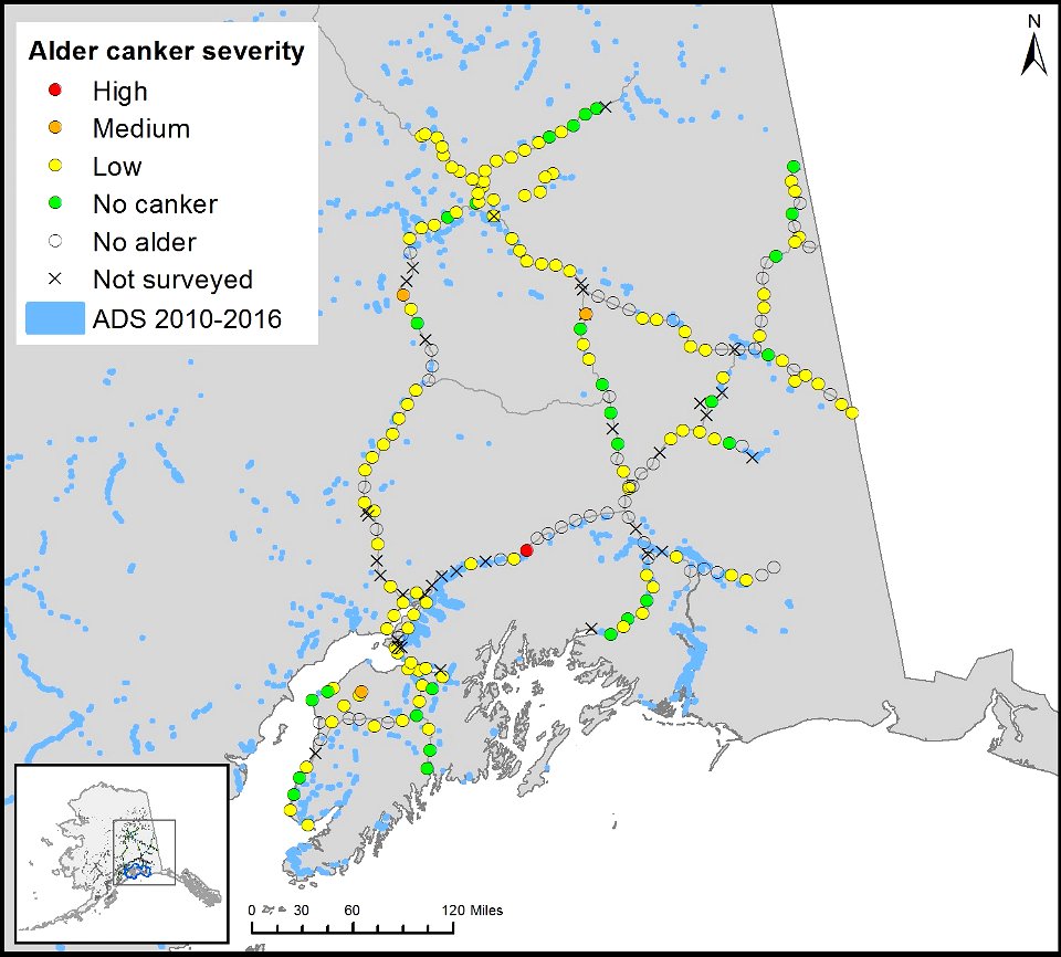 Alder-canker-ground-surveys-map-2016-Alaska
