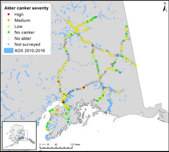 Alder-canker-ground-surveys-map-2016-Alaska