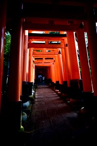 伏見稲荷/Fushimi Inari Shrine
