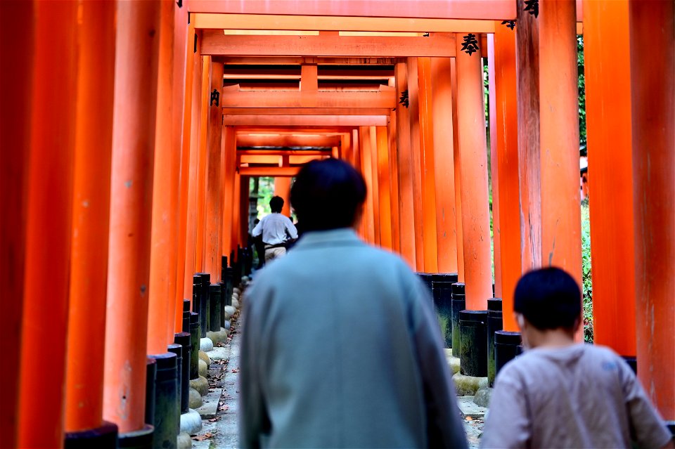 伏見稲荷/Fushimi Inari Shrine