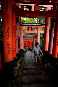 伏見稲荷/Fushimi Inari Shrine