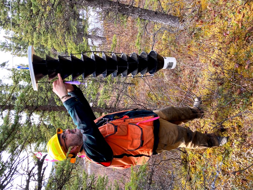 Garret-spruce-beetle-trap-2021-BonanzaCK-Alaska-SydneyBrannoch-01