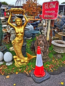 Golden Mermaid photo