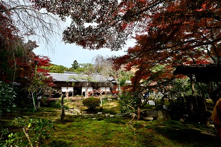 京都龍安寺/Kyoto Ryoanji